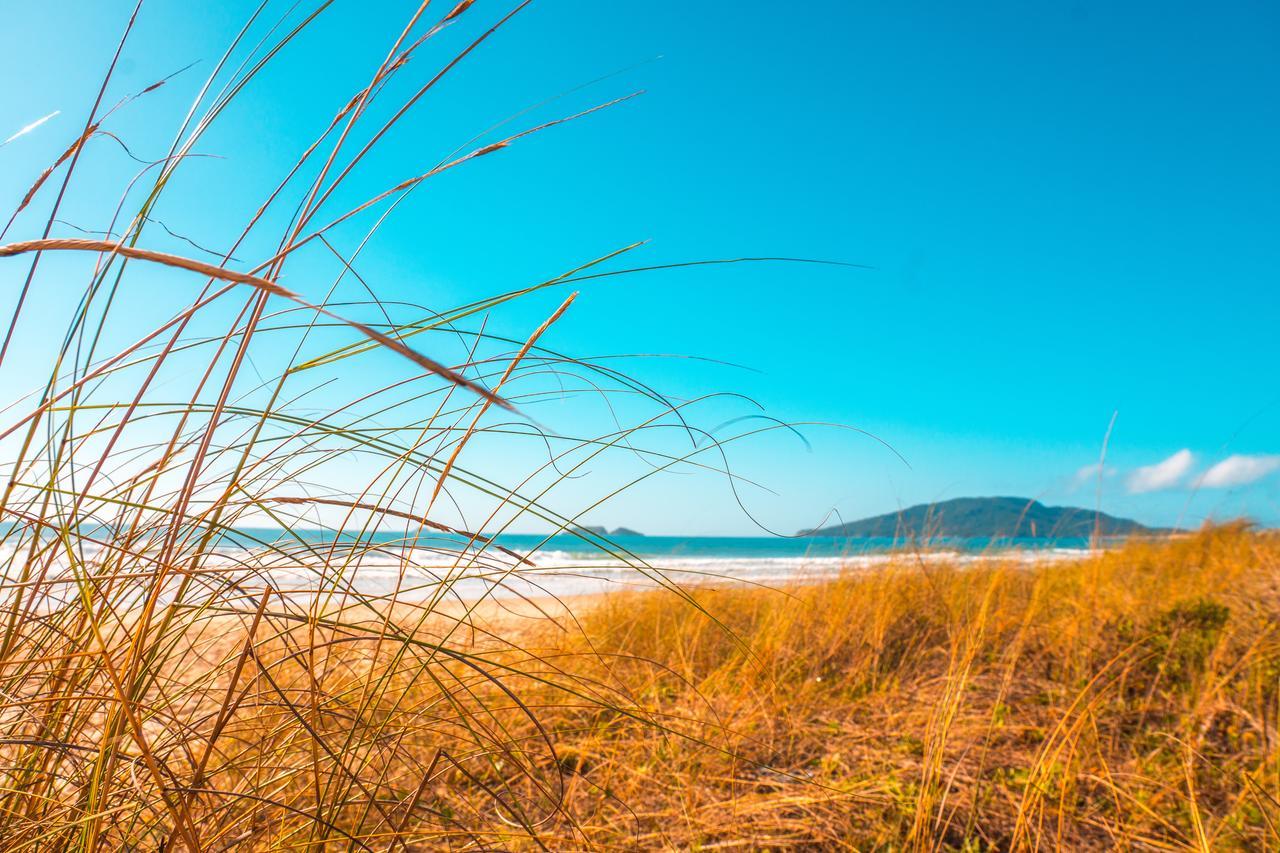 Apto Na Praia Do Ingleses Florianópolis Exterior foto